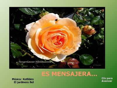 Poema Es Mensajera